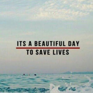 Meet your Posher, Maddison